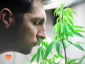 Детоксикация от марихуаны в Слюдянке